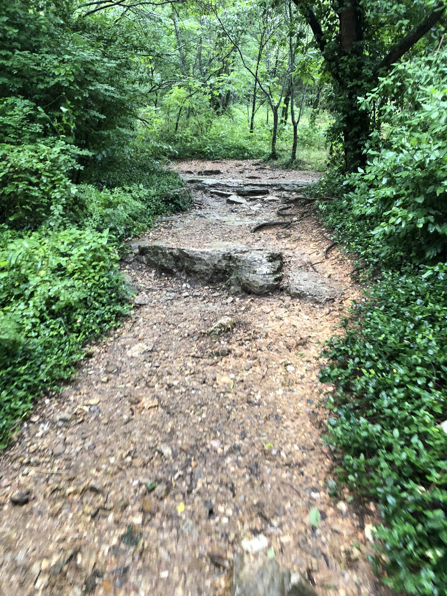 Tanyard