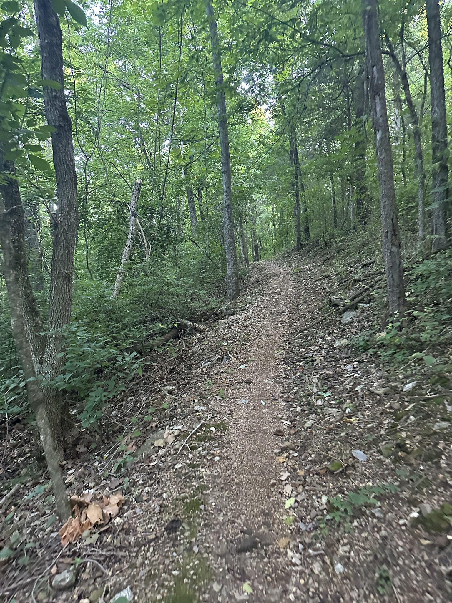 Tunnel Vision