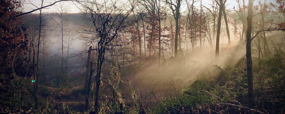 Bentonville trails