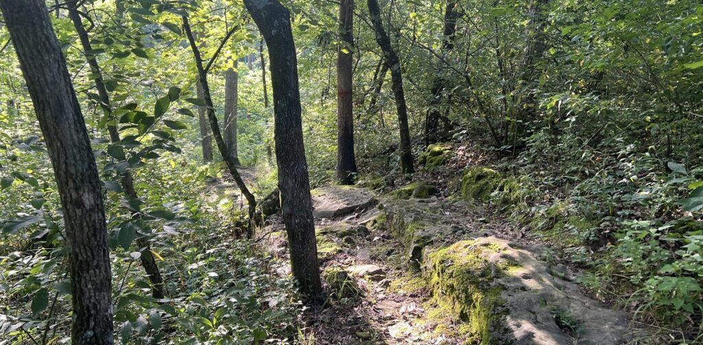 A hiker wearing a backpack on a narrow wooded trail past moss-covered rocks