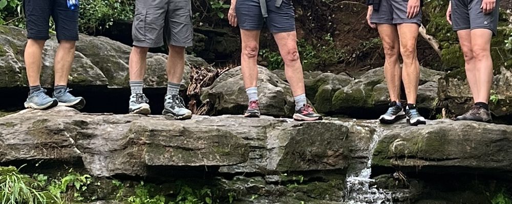 Hikers on a Northwest Arkansas trail