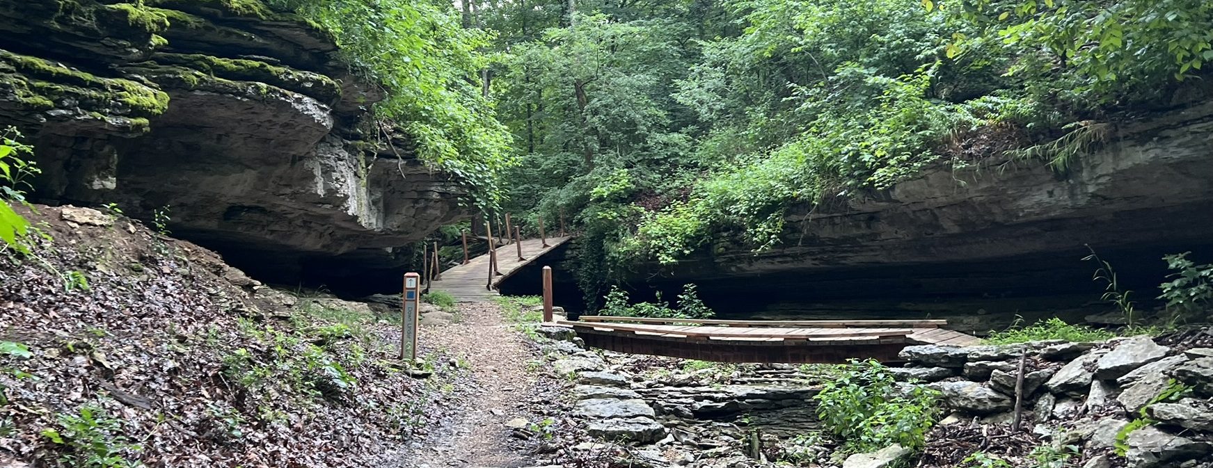 A dirt hiking trail winding through the woods in Northwest Arkansas