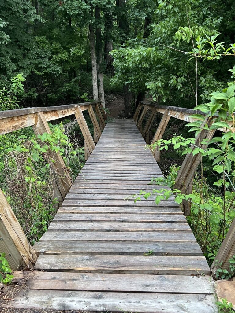 A wide wood bridge with rustic log railings and plain plank decking over a wooded gully