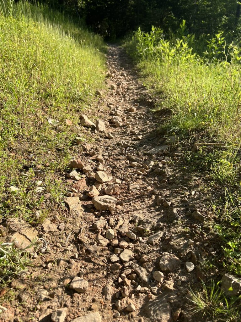 A narrow rocky singletrack hiking trail cutting through tall summer grass