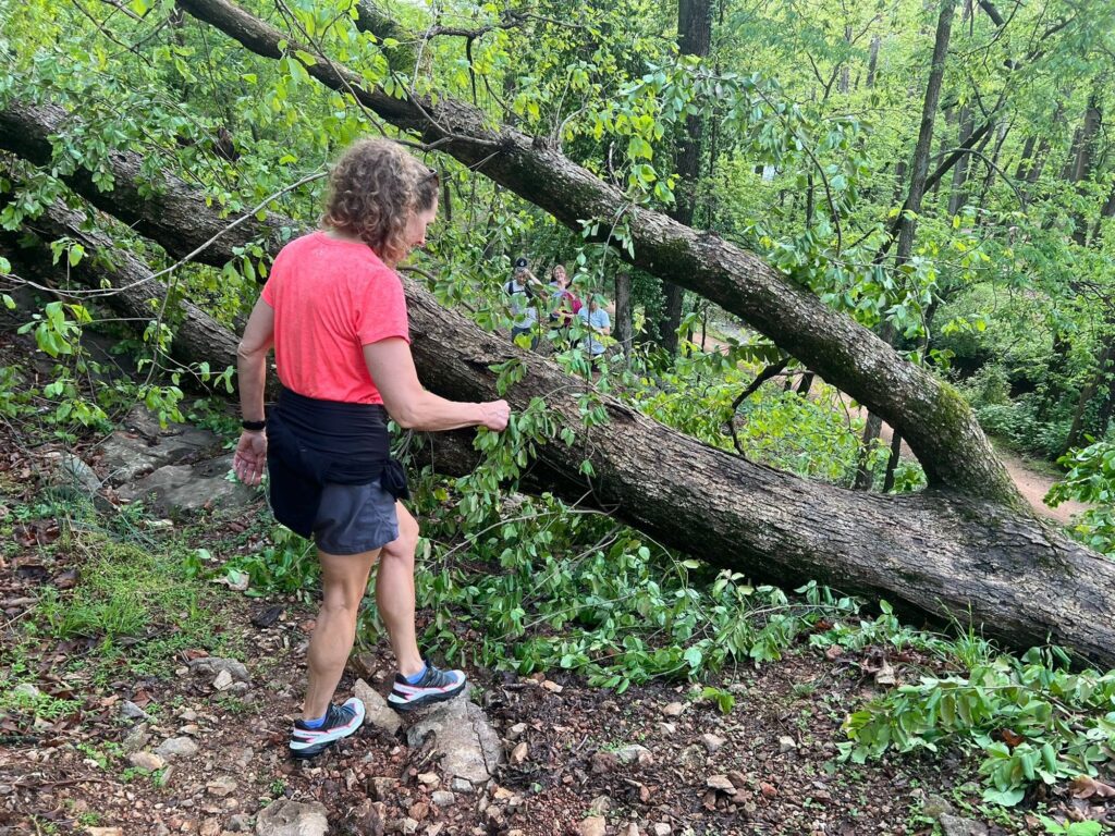 A hiker stepping over a fallen tree on a wooded trail
