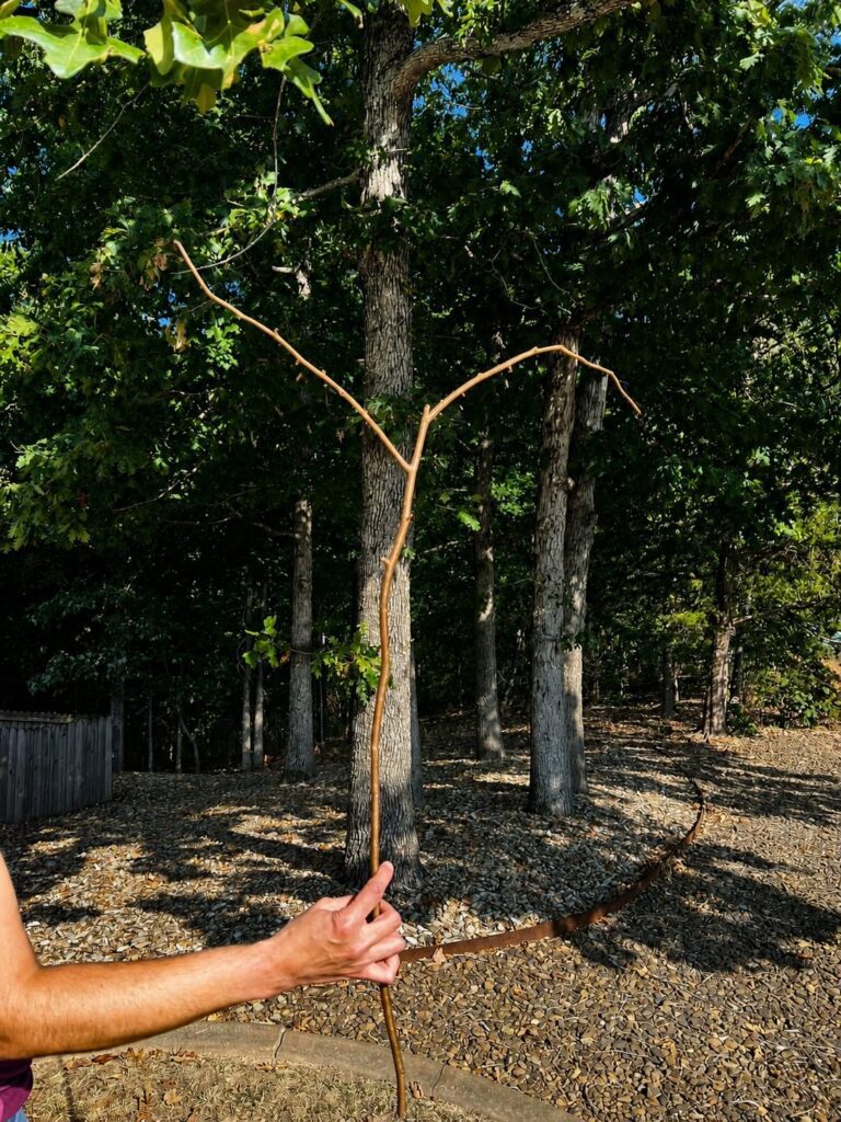 A hand holding a long, thin stick upright on a wooded path