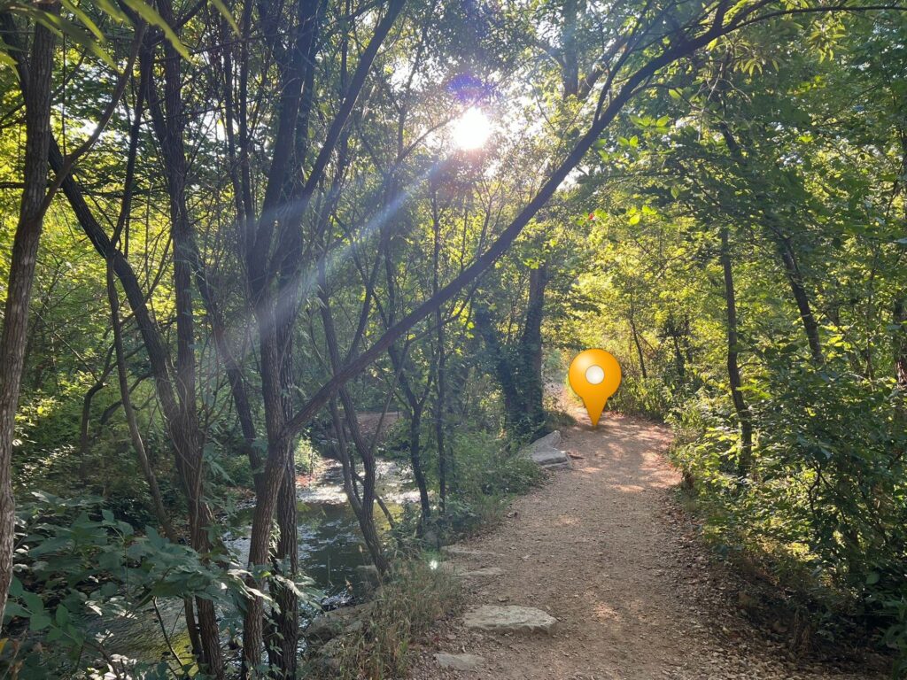 A wide dirt trail leading through leafy woods, with a yellow map pin marking a spot on the trail